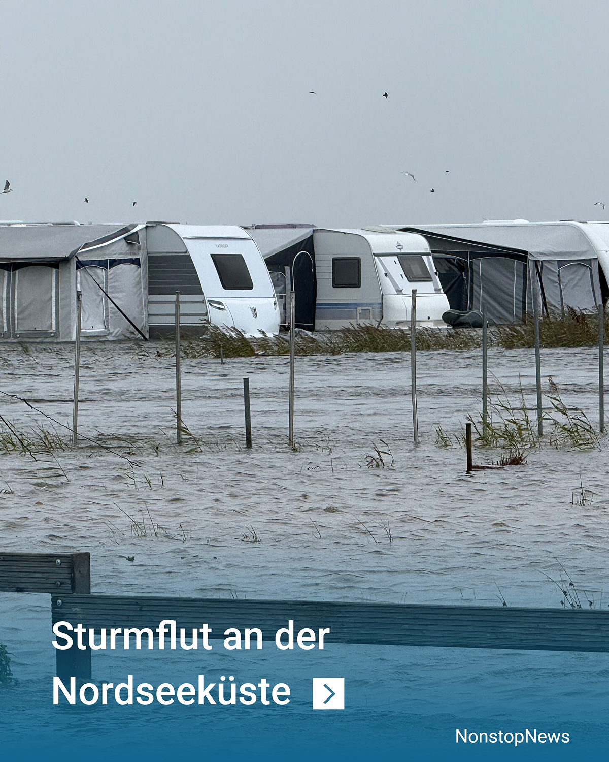 Überfluteter Campingplatz mit Wohnwagen und Vorzelten, Wasser steht hoch, grauer Himmel und Sturm an der Nordsee.