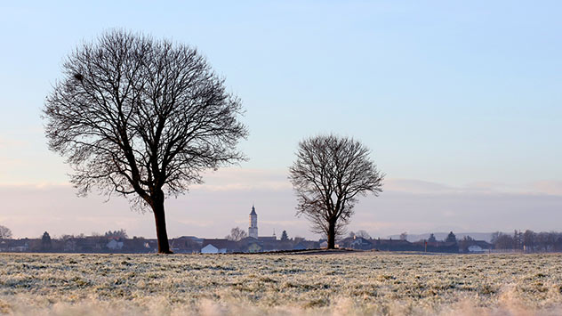 Morgenstimmung in Bad Wörrishofen mit Reif auf den Wiesen und kahlen Bäumen in Sonnenschein