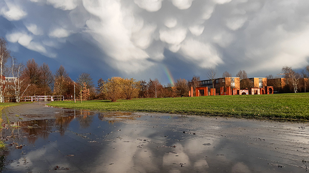 Mammatus Januar
