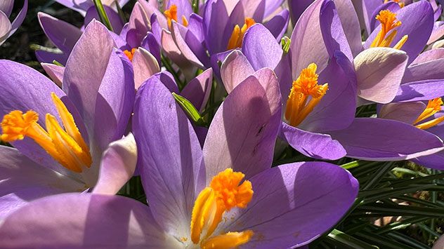 Auf Hoch FEUKA folgt Hoch GABRIELE. Verbreitet weht ein Hauch von Frühling durchs Land, dabei werden Höchstwerte von 10 bis 16 Grad gemessen.