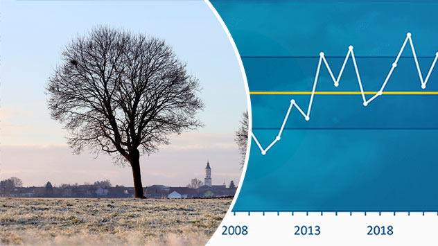 1ef444a7-07aa-6310-9785-e13f5ea8c613 Winterrückblick: Morgenstimmung mit Reif und Diagramm zur Mitteltemperatur