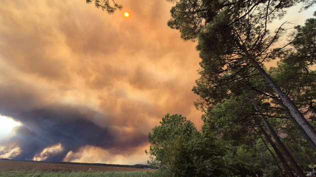 Incendie en Gironde . Crédit : Carmen Dreisen