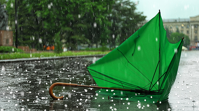 Parapluie