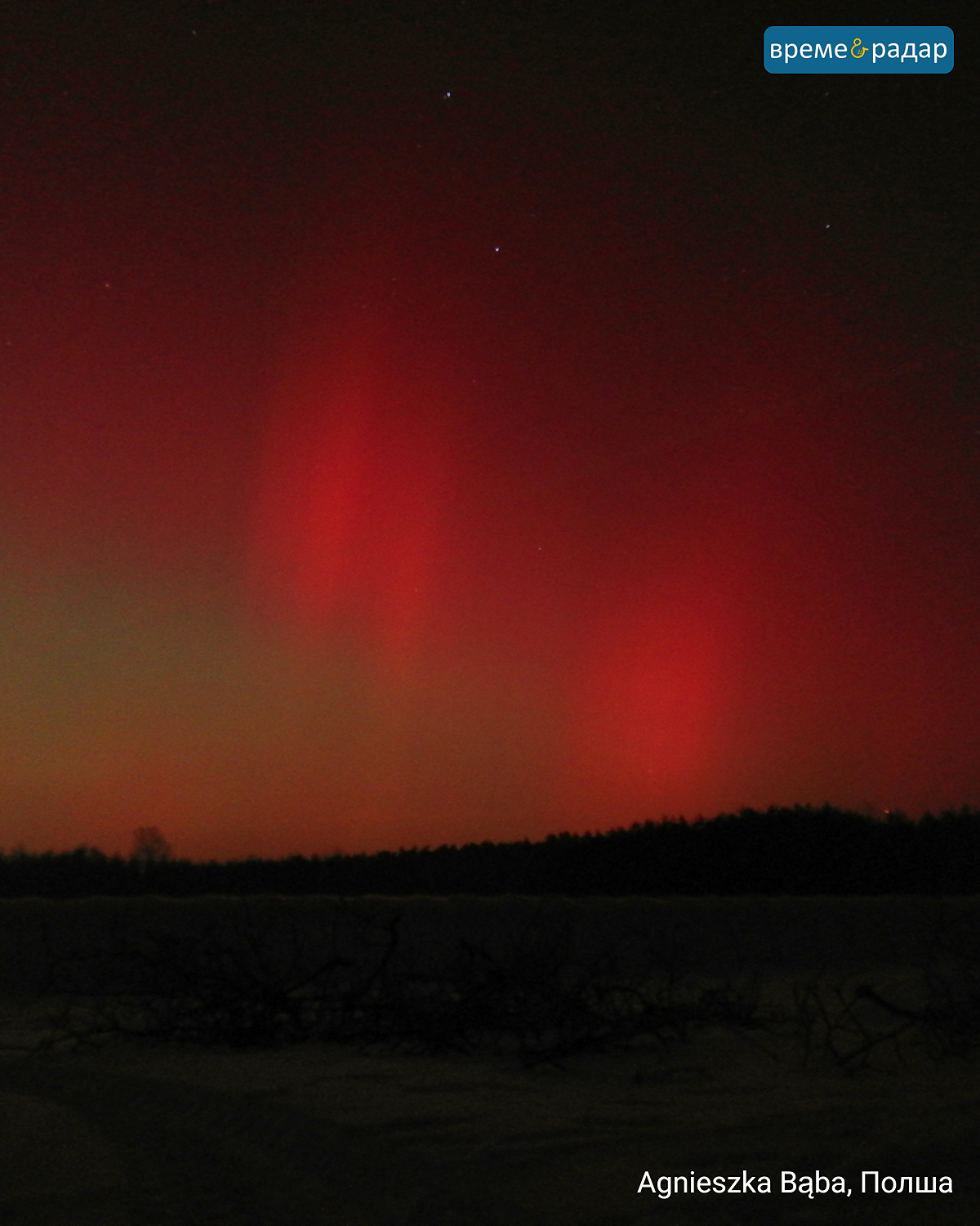 Червени полярни светлини в нощното небе над тъмен пейзаж. Хоризонт със силует на гора и бледи звезди.