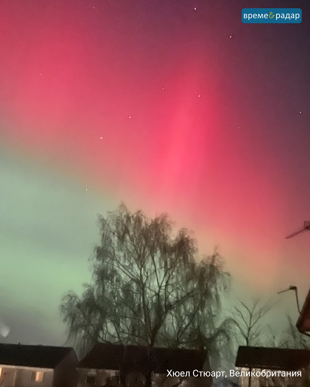Червено и зелено северно сияние над къщи и дърво. Нощно небе с ясно различими звезди.