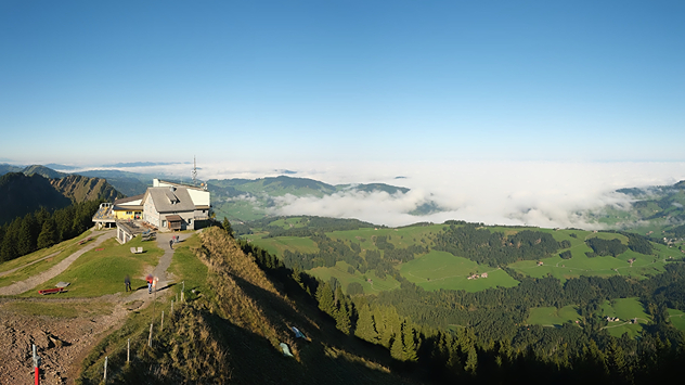 Webcam vom Kronberg über dem Nebelmeer