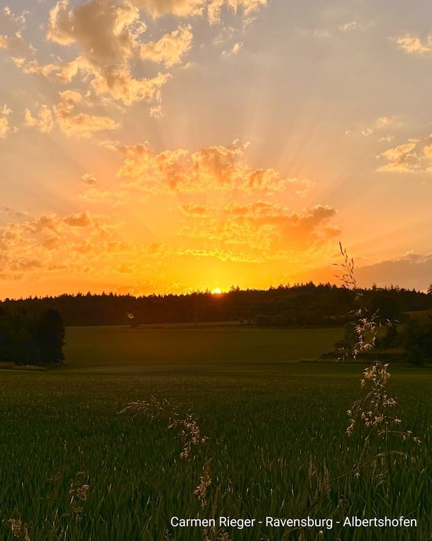 Goldener Sonnenuntergang über einer ländlichen Landschaft mit grünen Feldern, dunkler Baumlinie und von Sonnenstrahlen durchbrochenen Wolken.