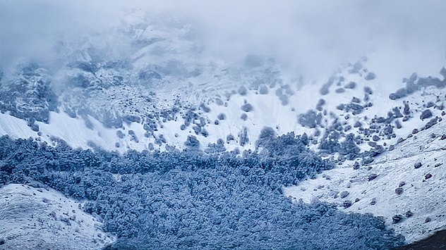 Gracias a todas las fotografías enviadas durante la última semana completa de 2025, tenemos un gran resumen de lo vivido estos días.&nbsp;