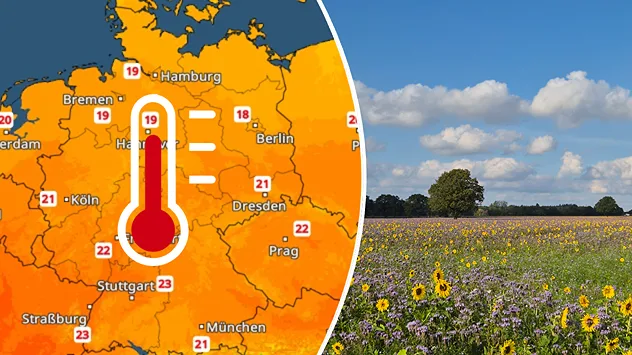 Wetterkarte für Deutschland mit 18 bis 23 Grad neben einer sonnigen Blumenwiese.