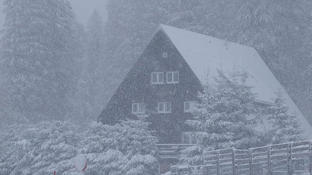 Schnee im Schwarzwald