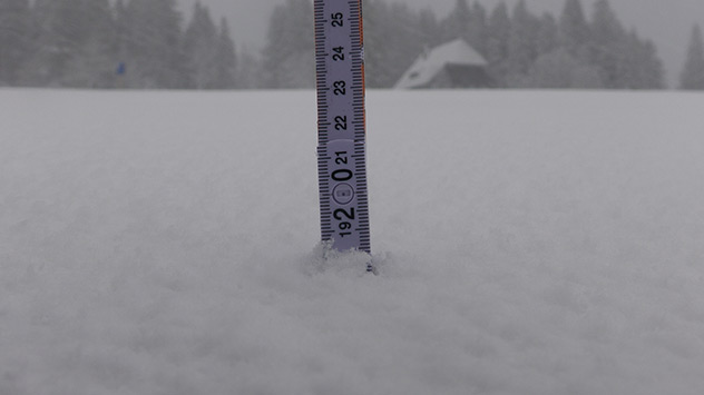 Schnee im Schwarzwald