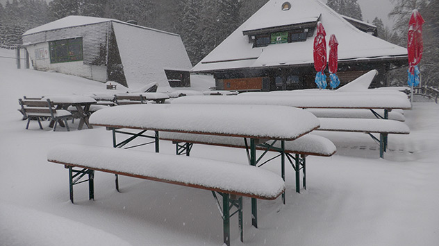 Schnee im Schwarzwald