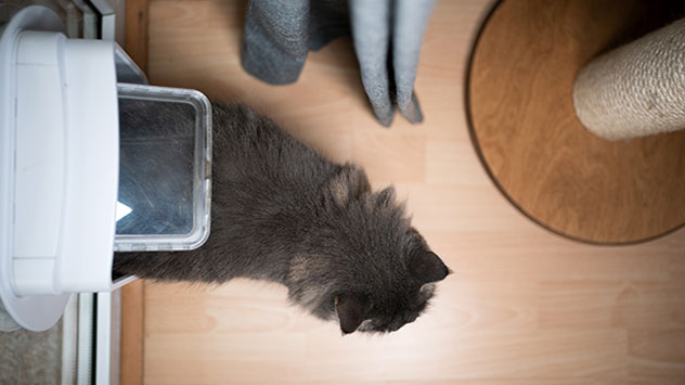 Undichte Stellen lassen sich mit einfachen Dichtungen aus dem Baumarkt beheben. 