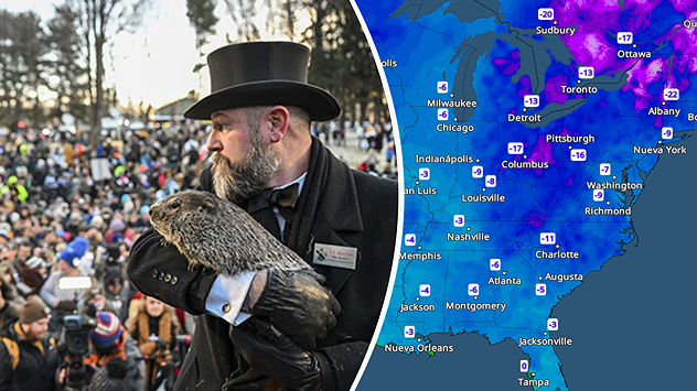 El día de la marmota se celebra desde 1887 de manera ininterrumpida.