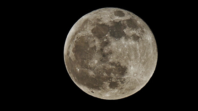 © Frank Fritsche In vielen Teilen des Landes hat sich in der vergangenen Nacht der Vollmond gezeigt, wie hier in Dresden.