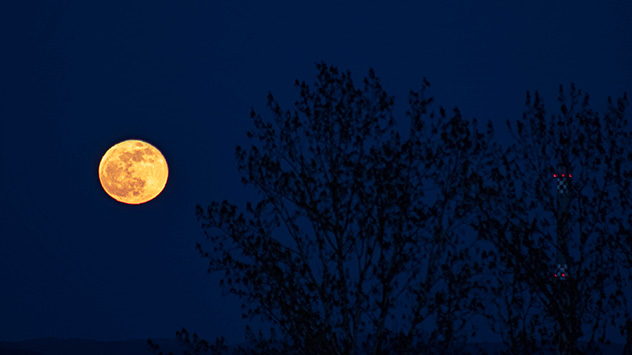 © Sylvio Müller Der März-Vollmond trägt auch den Beinamen Krähenmond. Diese Bezeichnung geht etwa auf das Frühlingserwachen der Fauna zurück.