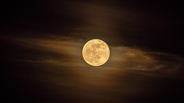 © Daniela Böhme Auch in Meißen in Sachsen herrschen gute Bedingungen, um den Erdtrabanten zu bestaunen. Lediglich ein dünner Schleier ziert den Himmel.