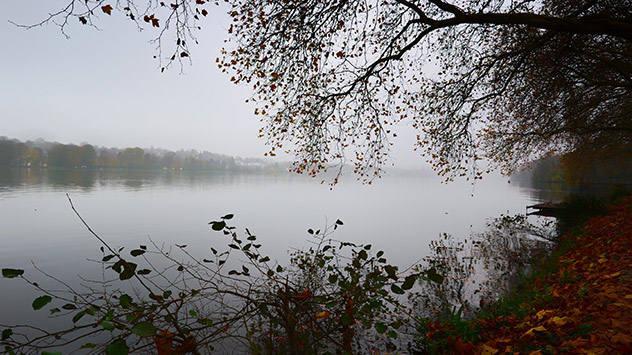 Nebel Baldeneysee