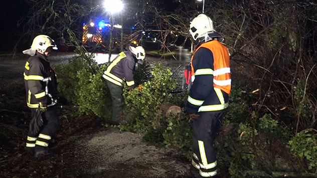 Im brandenburgischen Beelitz zerlegt das THW einen umgestürzten Baum.