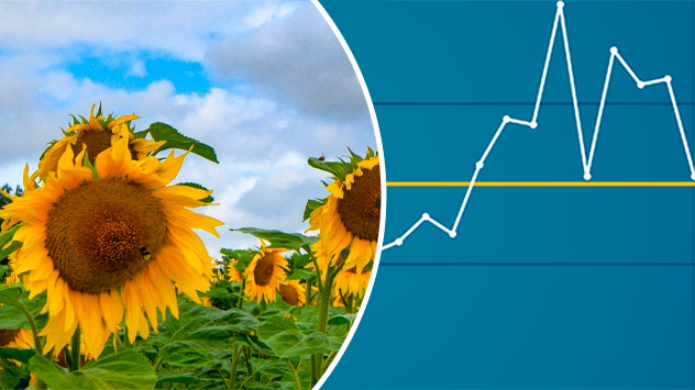 1ef442c1-cad1-652e-859c-3b5b1000a6b2 - © Gabiele Klein Juni Rückblick