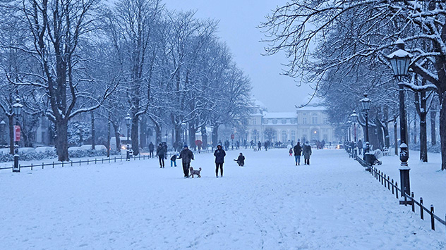 Schnee in Bonn