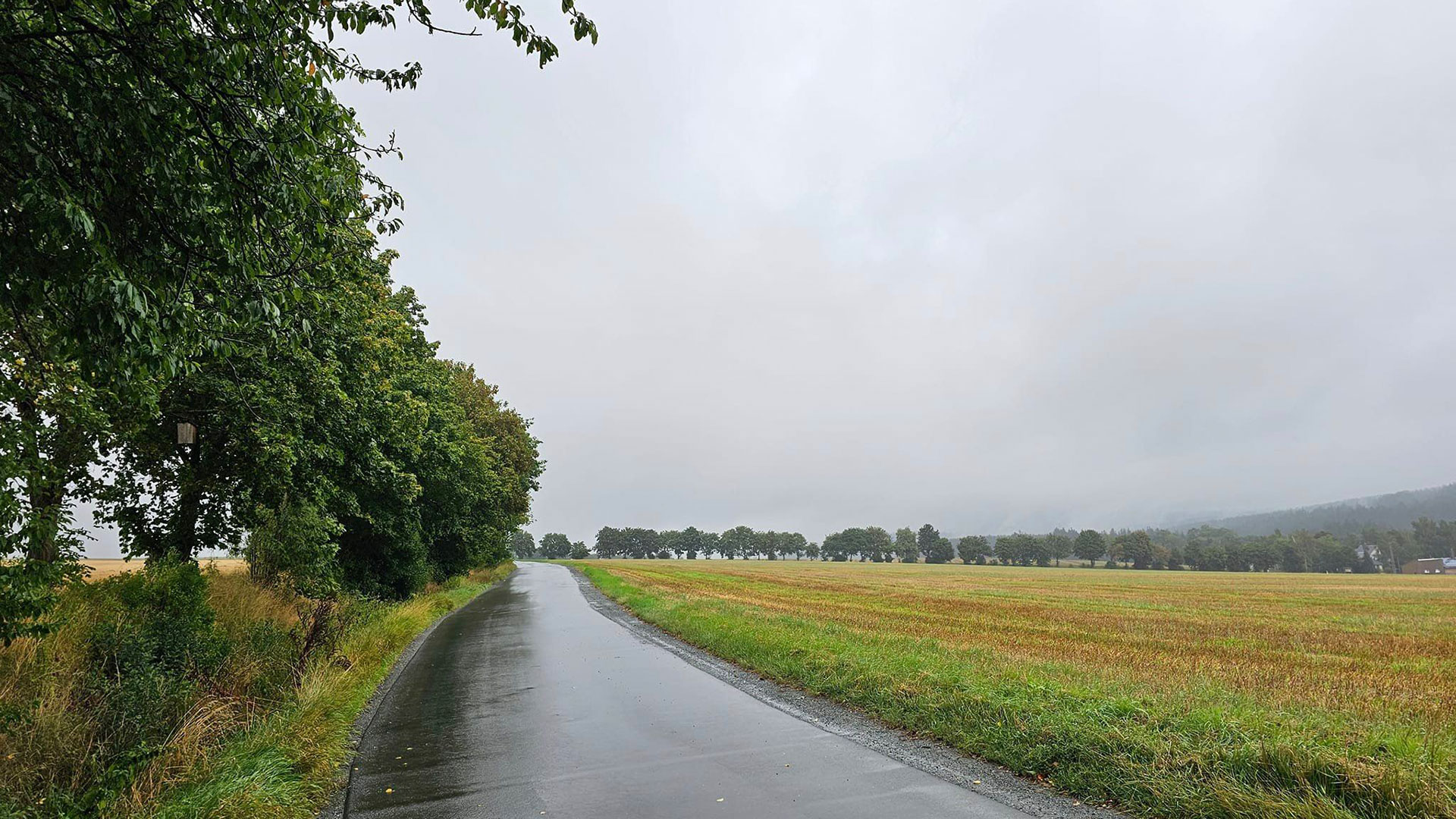 Auch in anderen Landesteilen zeigen sich die Tage eher von ihrer trüben Seite. 