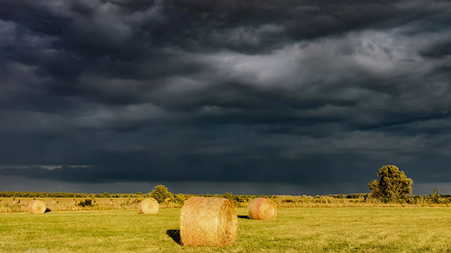 Ein typisches Bild für den Monat August: Heuballen werden von der Sonne angestrahlt. Im Hintergrund ist der Himmel bedrohlich dunkel.