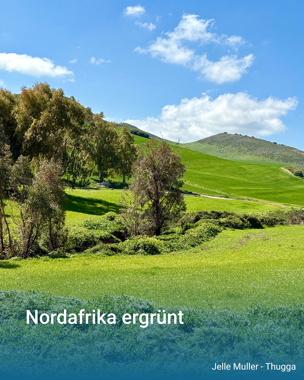Des collines verdoyantes parsemées de champs et d'arbres, sous un ciel bleu parsemé de quelques nuages.