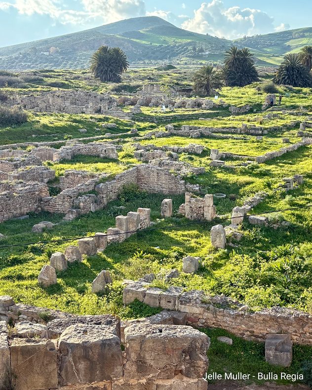 Ruines d'un site antique composé de pierres et de murs, entourées d'une végétation luxuriante.