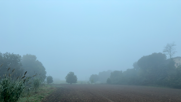 El resto de España ha experimentado una típica semana otoñal de transición con un ambiente más tranquilo y chubascos intermitentes que anunciaban el final de octubre. 