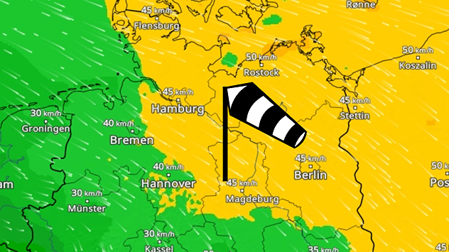 Windkarte mit Böen von 45–50 km/h entlang der deutschen Ostseeküste