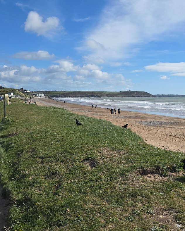 Sandy beach with gentle waves and scattered people walking along the shortline, bordered by grassy dunes in the foreground under a bright blue sky with scattered clouds.