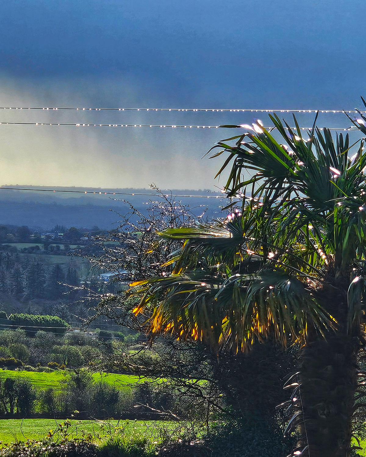 Sunlit countryside landscape with foliage in the foreground, green fields and hedgerows below with rain showers seen in the background.