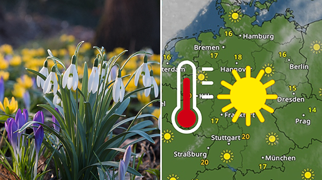 Geteilte Grafik: links Foto von Frühblühern, rechts eine TemperaturRadar-Karte von Deutschland mit viel Sonne und milder Luft.
