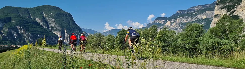 Radler unterwegs auf dem Etschradweg.