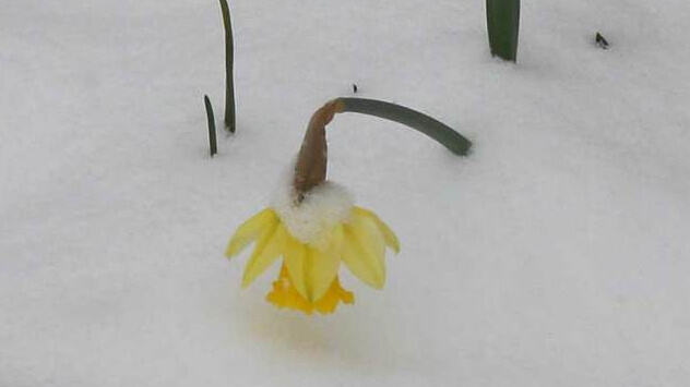 Glätte durch Märzschnee