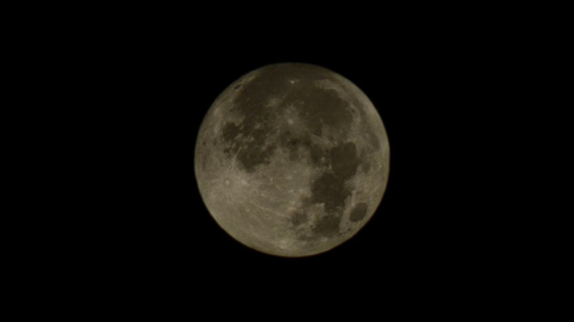 Erdtrabant Nahaufnahme