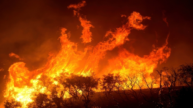 wildfire