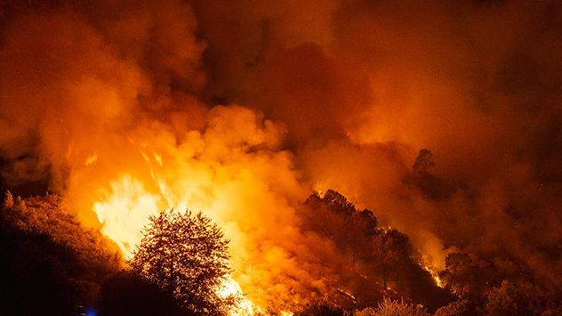 España está afrontando uno de los veranos más duros de los últimos años en cuanto a incendios forestales y temperaturas extremas.&nbsp;