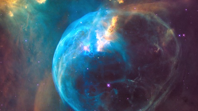 cosmos