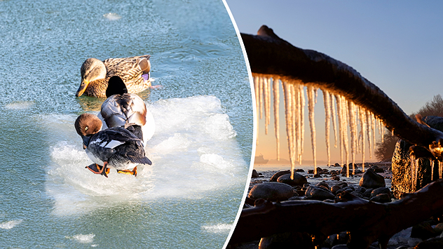 Winterfinale und Rückkehr des Lichts