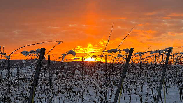 Der glühende Himmel bietet einen unglaublichen Kontrast zur kalten Schneelandschaft. 