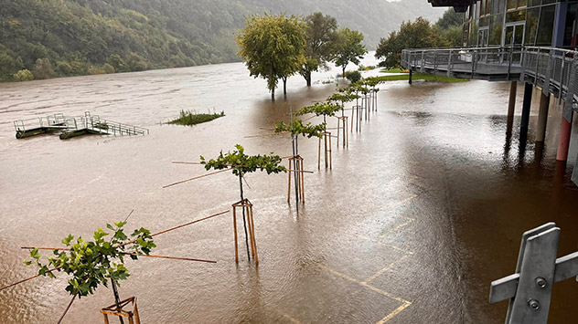 Mosel Hochwasser