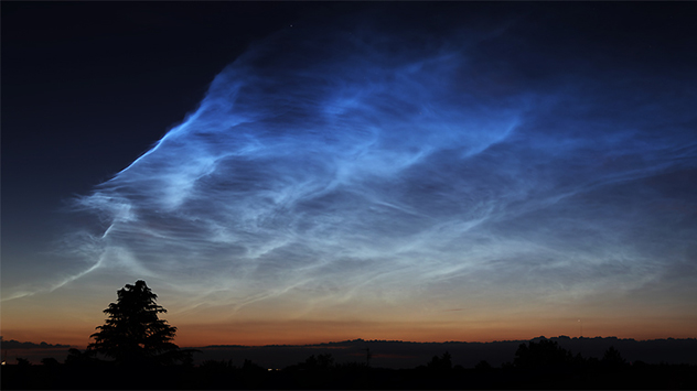 nlc