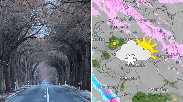 Geteilte Grafik: links eine winterliche Allee auf Rügen, rechts eine WetterRadar-Karte mit winterlichen Symbolen; Foto aufgenommen am 29. Januar 2026.