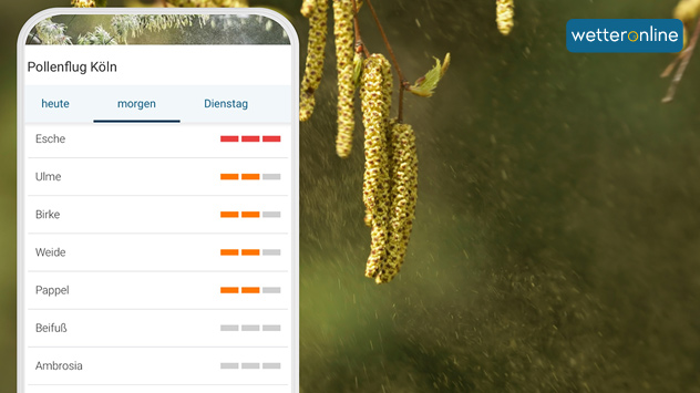Pollenflug-Vorhersage für Köln