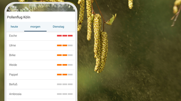 Pollenflug-Vorhersage für Köln