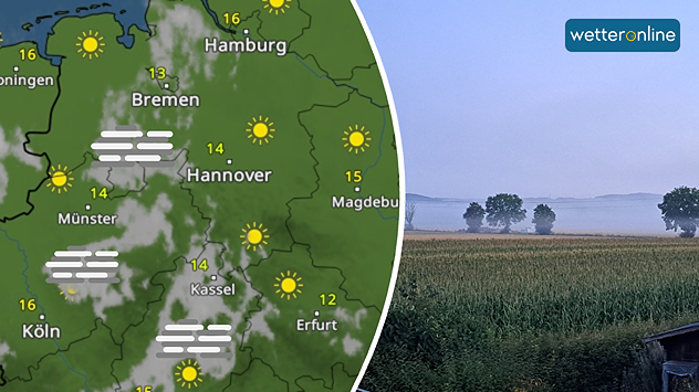 Links: WetterRadar zeigt Frühnebel rund um Köln, Münster und Kassel, daneben viele Sonnensymbole und Temperaturen zwischen 12 °C und 16 °C. Rechts: Feldlandschaft bei Hannover mit Bodennebel und vereinzelten Bäumen am Horizont.