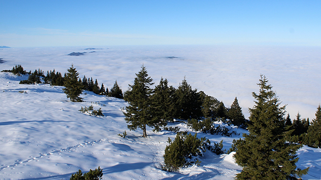 Das Bild zeigt den Blick auf das Nebelmeer von einem Schneebedeckten Hügel aus.
