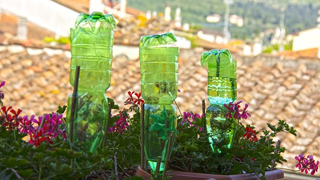 Balkonpflanzen werden mithilfe von Wasserflaschen bewässert. (c) RaffMaster / Shutterstock.com
